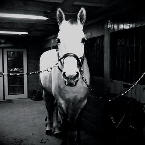 Meet your Posher, Kerry